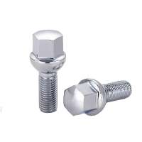 Customized Wheel bolt and nuts for auto spare parts